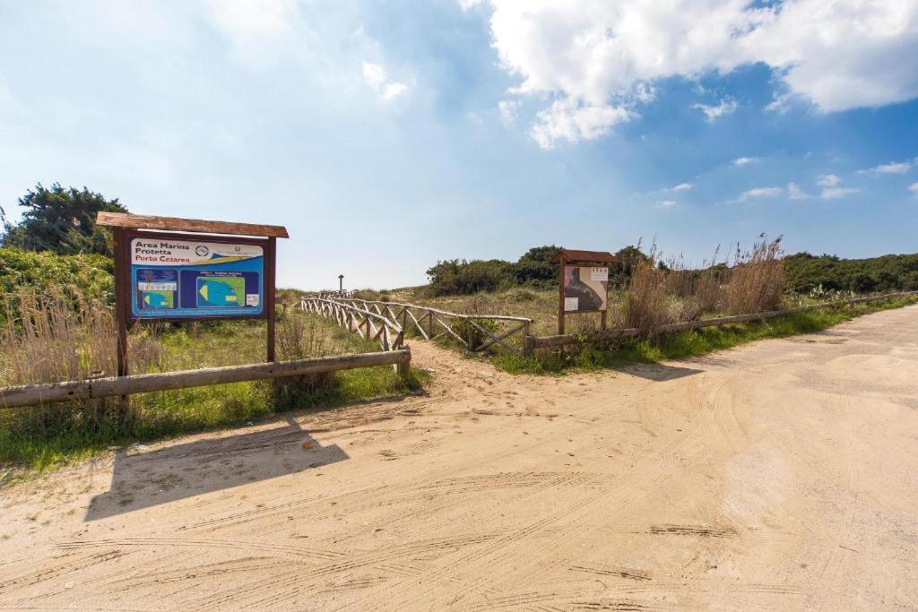 Villa Spiaggia Degli Angeli Porto Cesareo Exterior foto